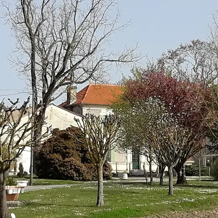 La Metairie Au Milieu Des Vignes Reaux