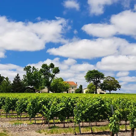 Apartamento La Métairie Au Milieu Des Vignes *