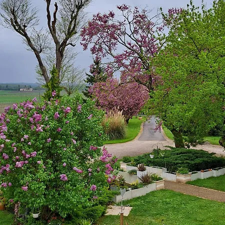 La Métairie Au Milieu Des Vignes Appartamento *