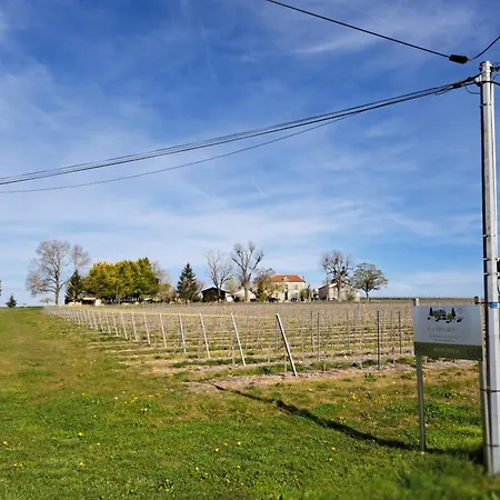 La Métairie Au Milieu Des Vignes Apartamento Réaux