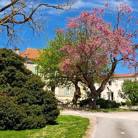 Apartment La Metairie Au Milieu Des Vignes